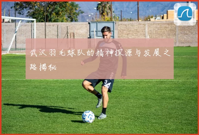 武汉羽毛球队的精神探源与发展之路揭秘