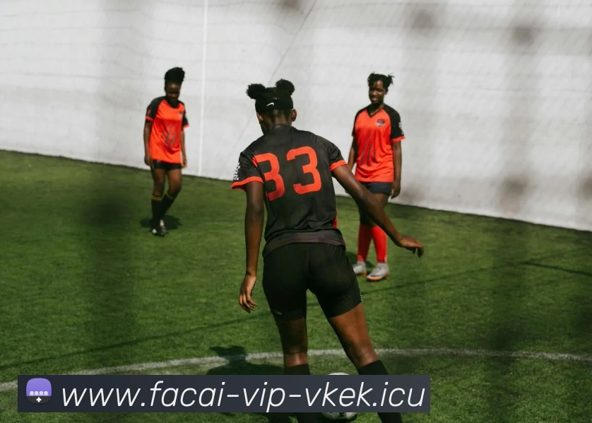 乐鱼体育发展历程