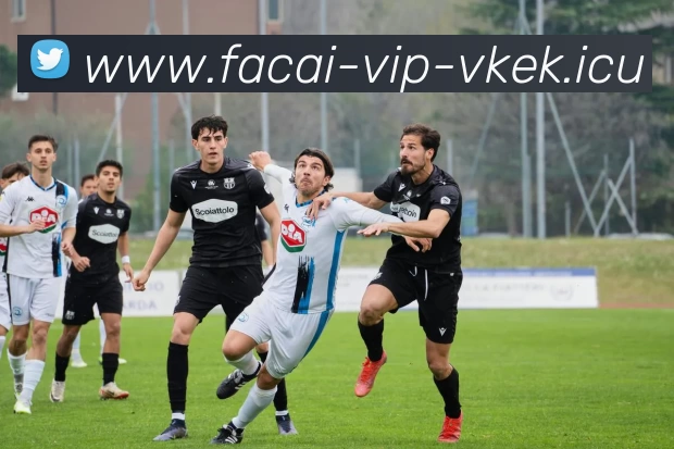 荣耀时刻足球明星获奖背后的故事与成就分享